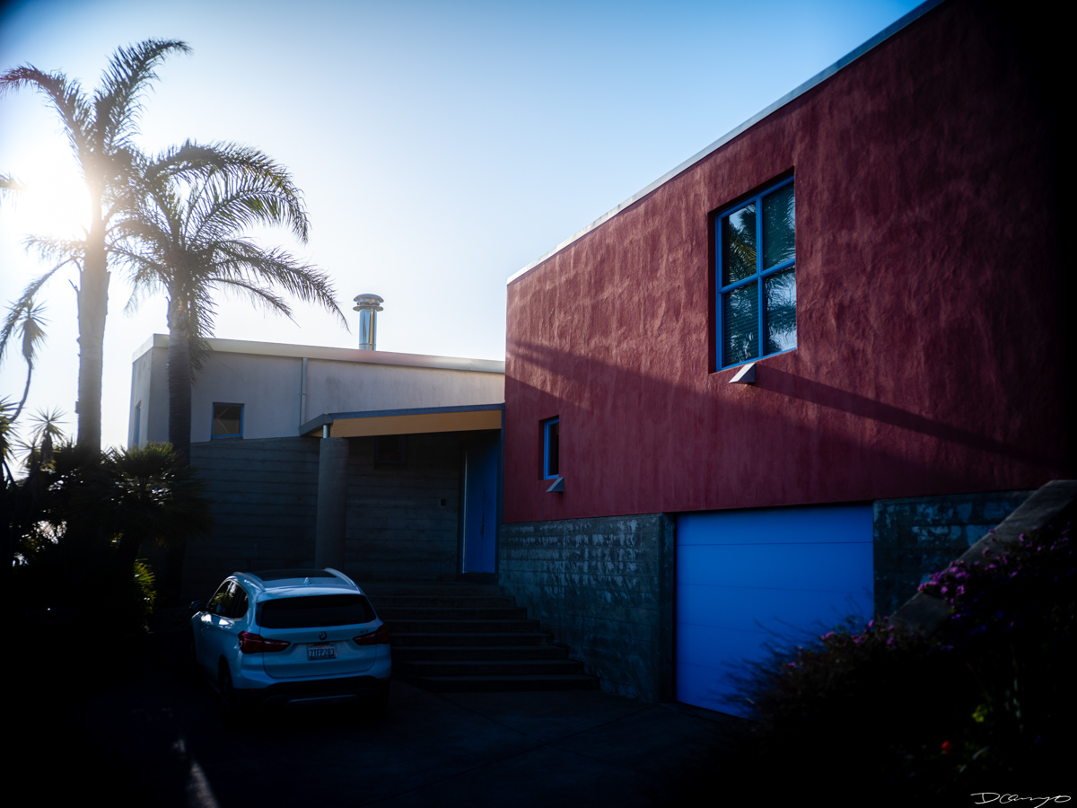 Pretty things that I wanted to take pictures of around Berkeley in 2023.